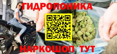 гидропоника Балашиха