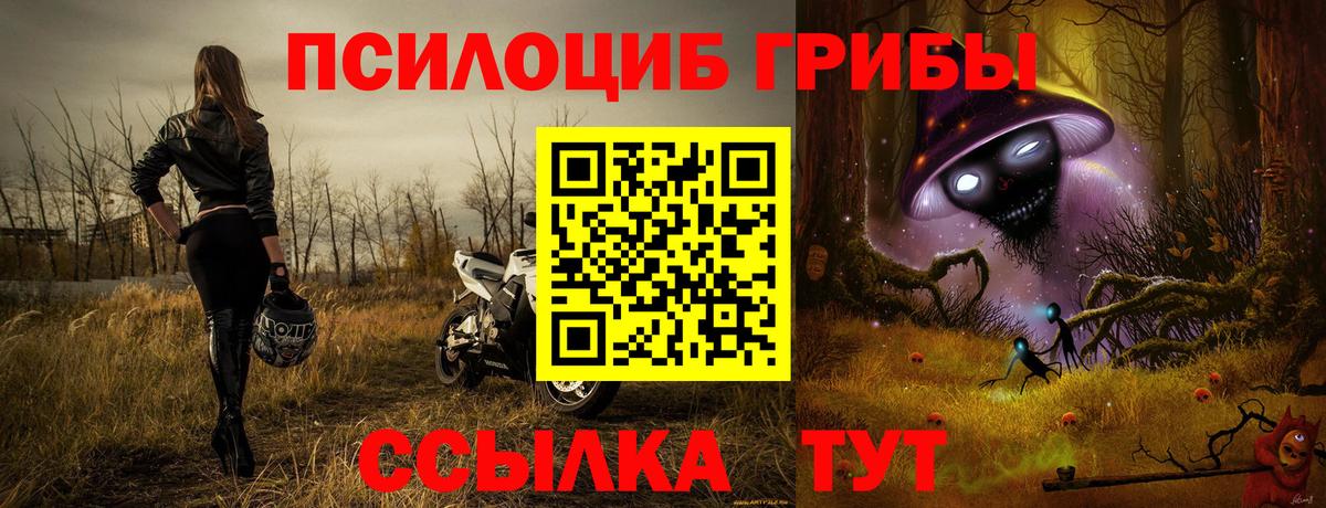 Псилоцибиновые грибы GOLDEN TEACHER  Вход с VPN  Донской 