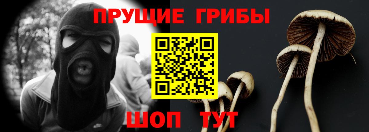 Галлюциногенные грибы прущие грибы Донской